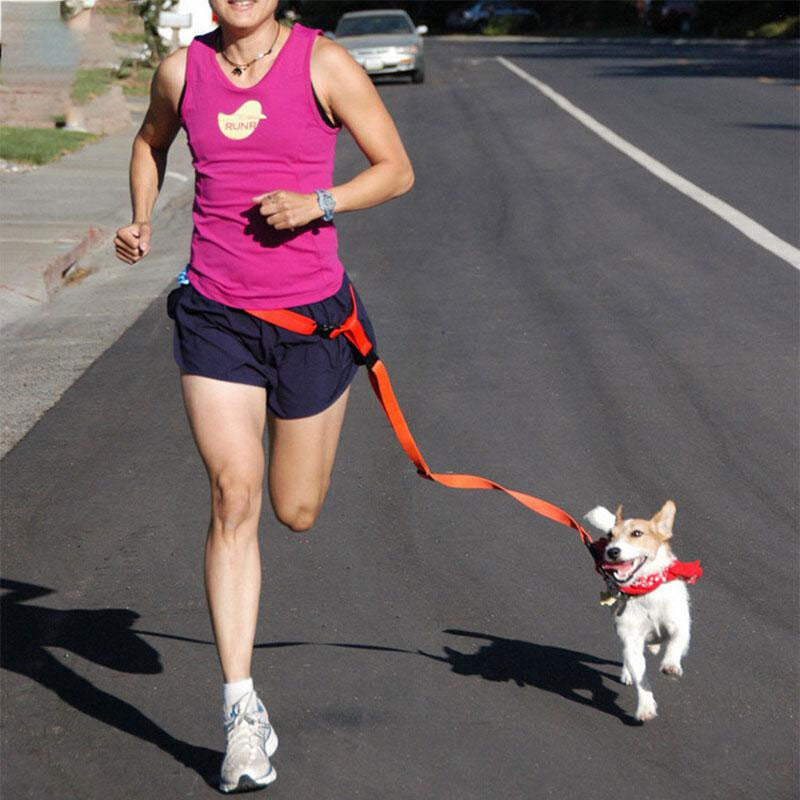 Correa Running Para Mascotas