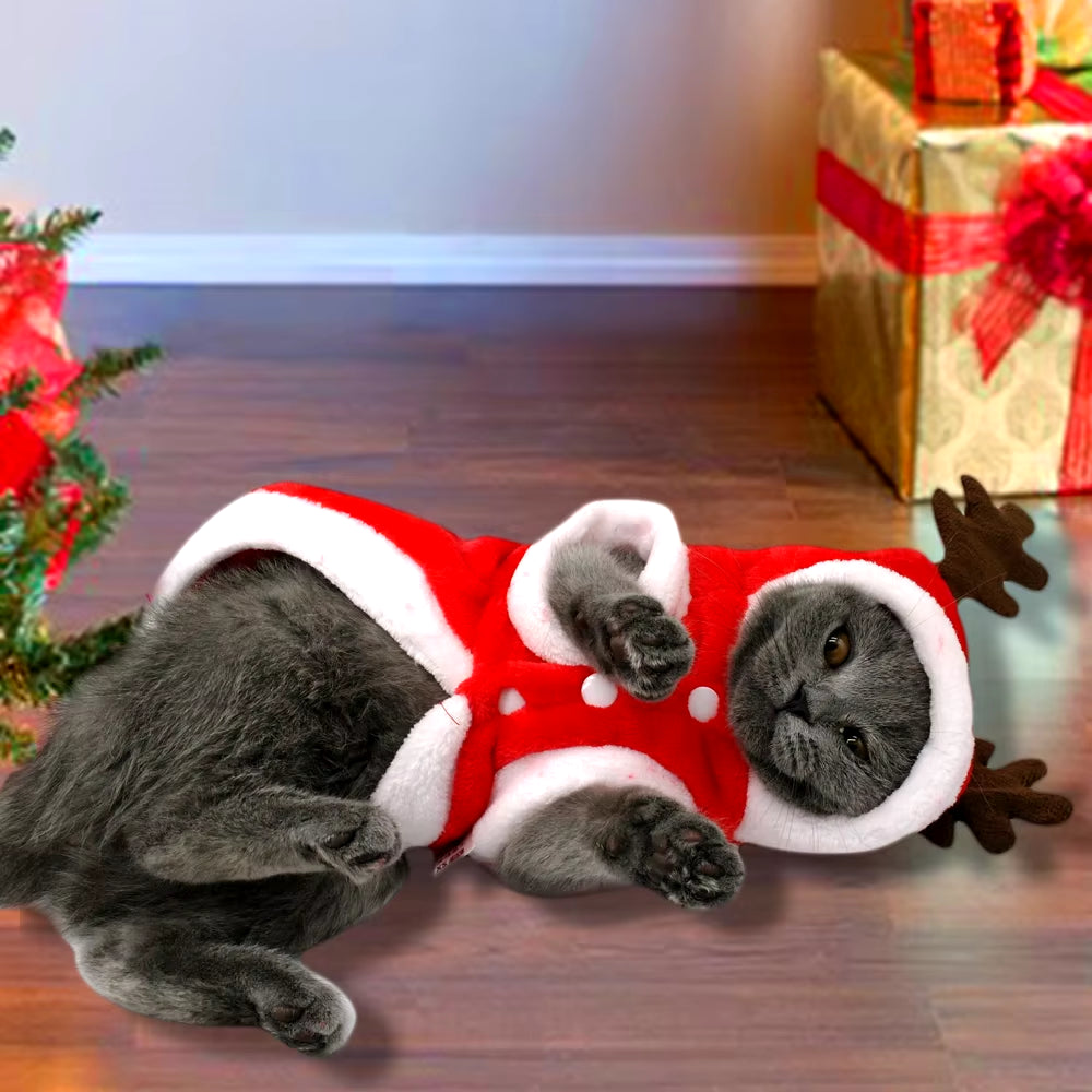 Disfraz De Navidad Para Mascotas