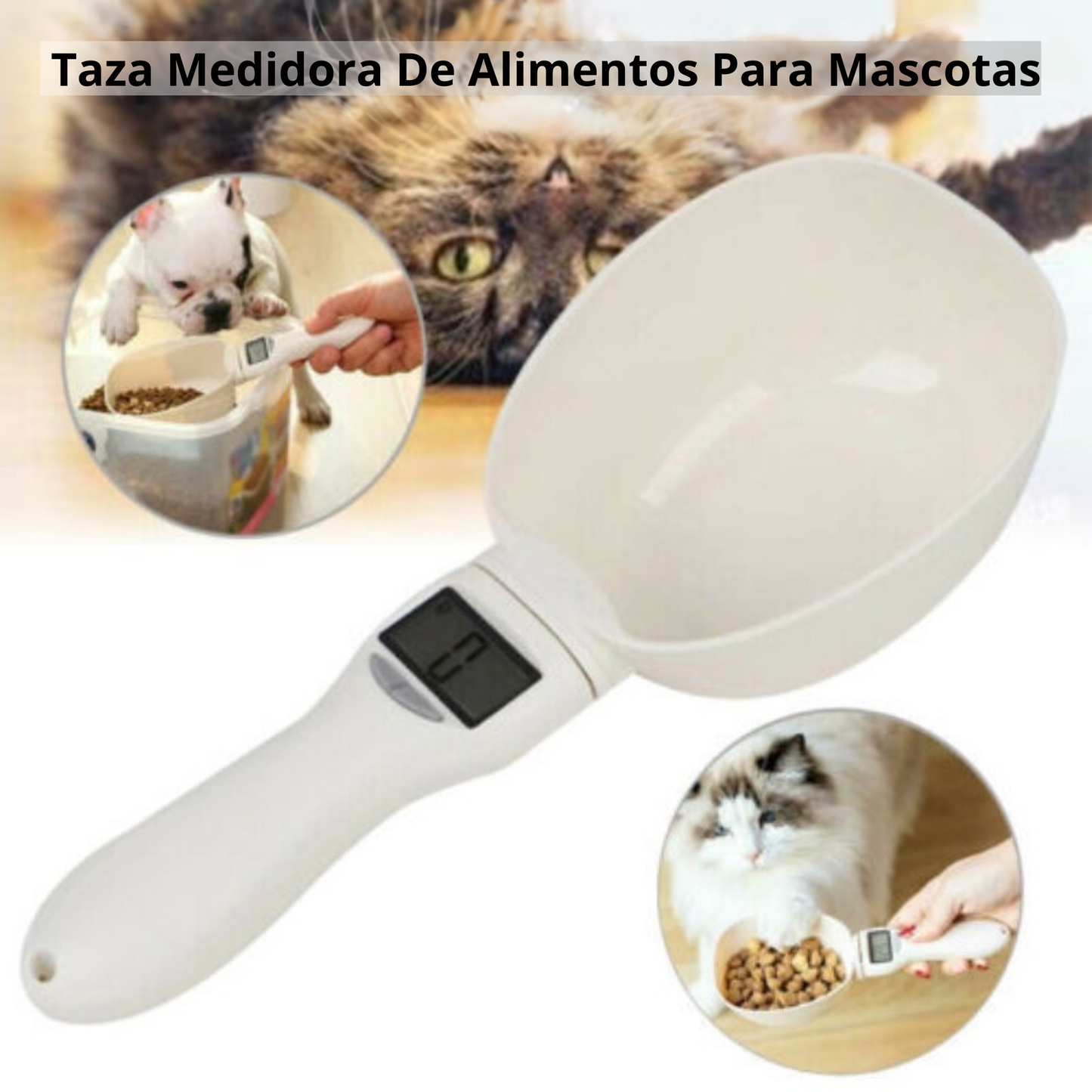 Taza medidora de alimentos para mascotas con diferentes unidades de medida